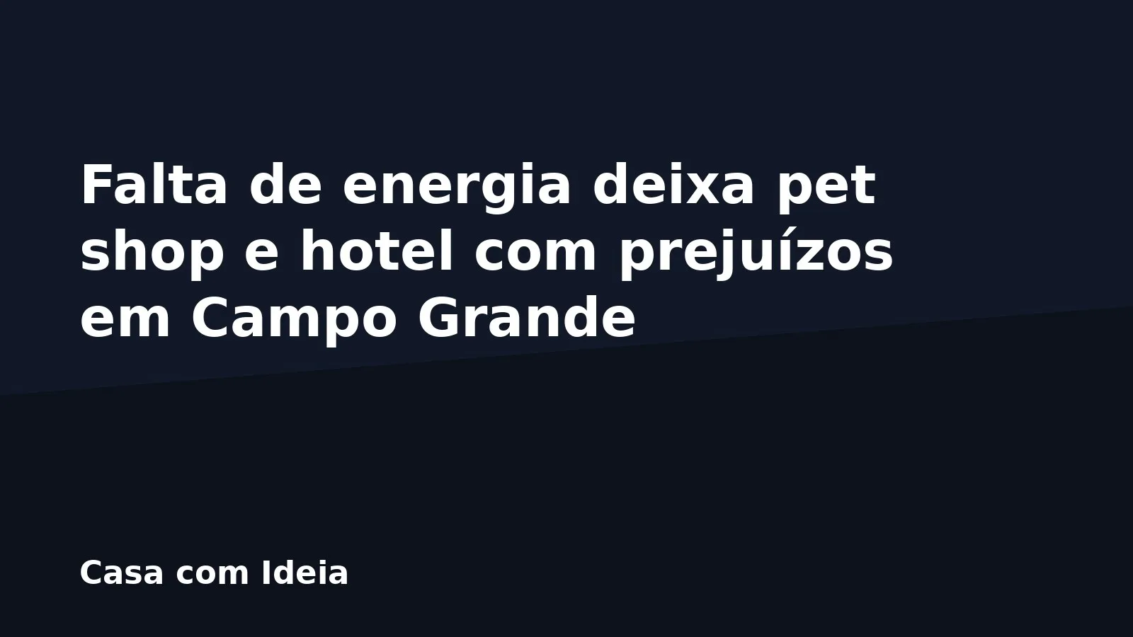 Falta de energia deixa pet shop e hotel com prejuízos em Campo Grande