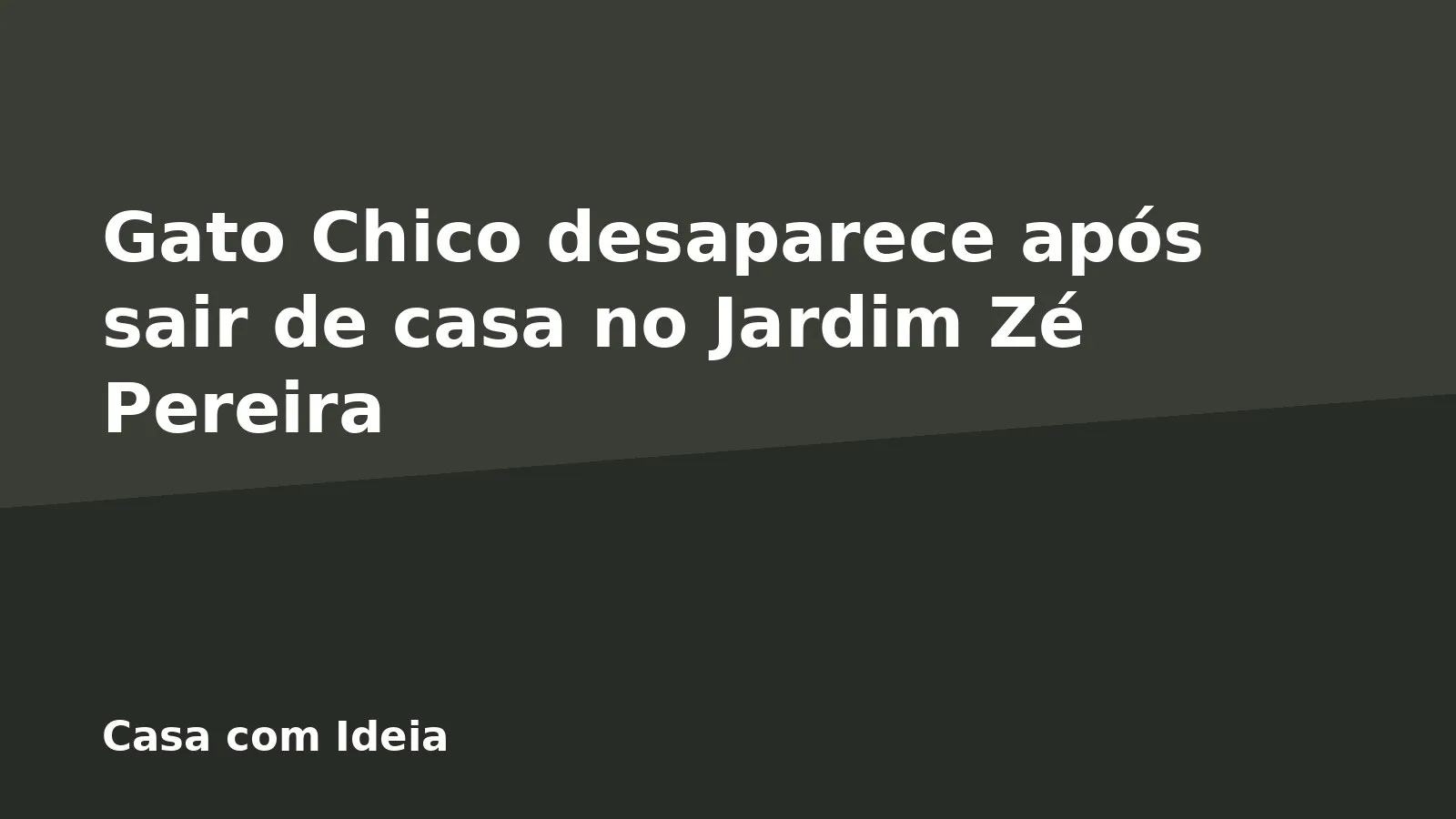 Gato Chico desaparece após sair de casa no Jardim Zé Pereira