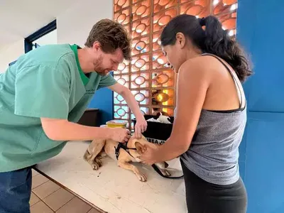 Consultório móvel oferece atendimento veterinário gratuito em Campo Grande