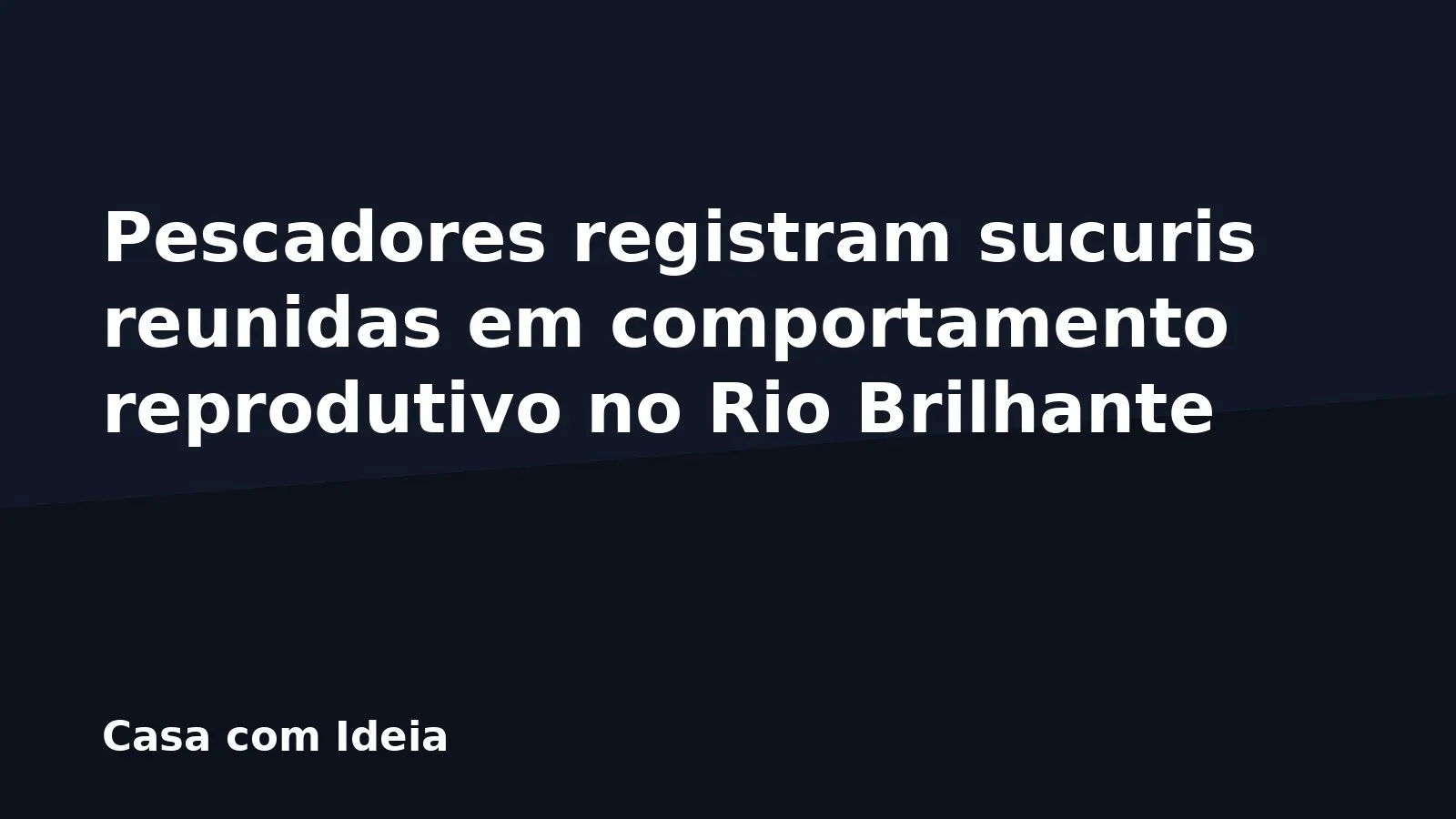 Pescadores registram sucuris reunidas em comportamento reprodutivo no Rio Brilhante