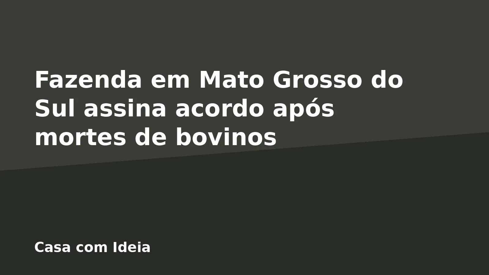 Fazenda em Mato Grosso do Sul assina acordo após mortes de bovinos