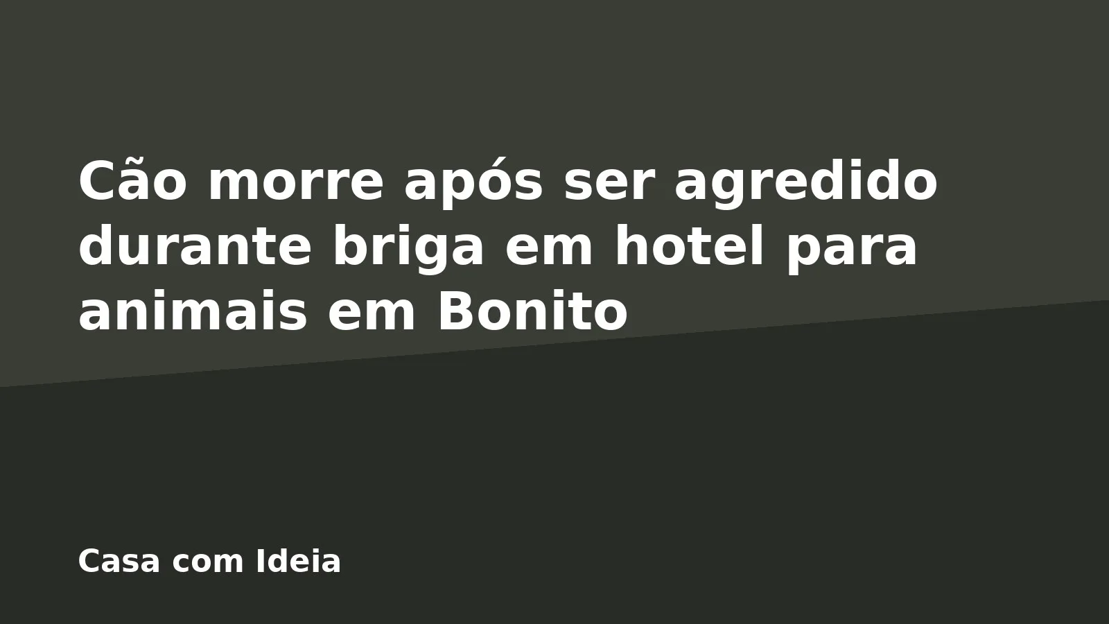Cão morre após ser agredido durante briga em hotel para animais em Bonito