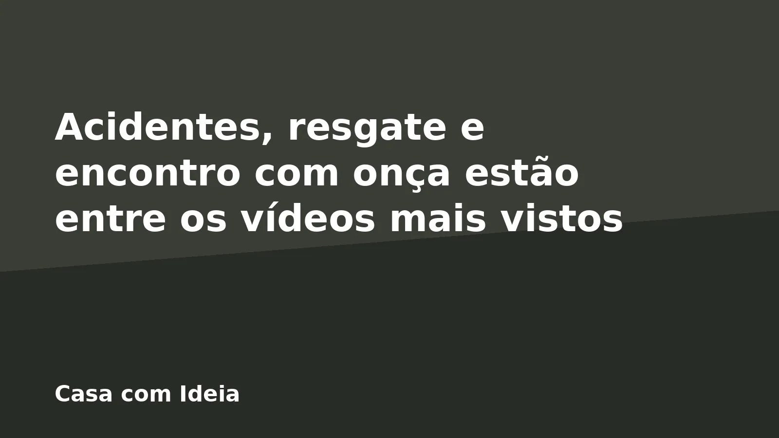 Acidentes, resgate e encontro com onça estão entre os vídeos mais vistos
