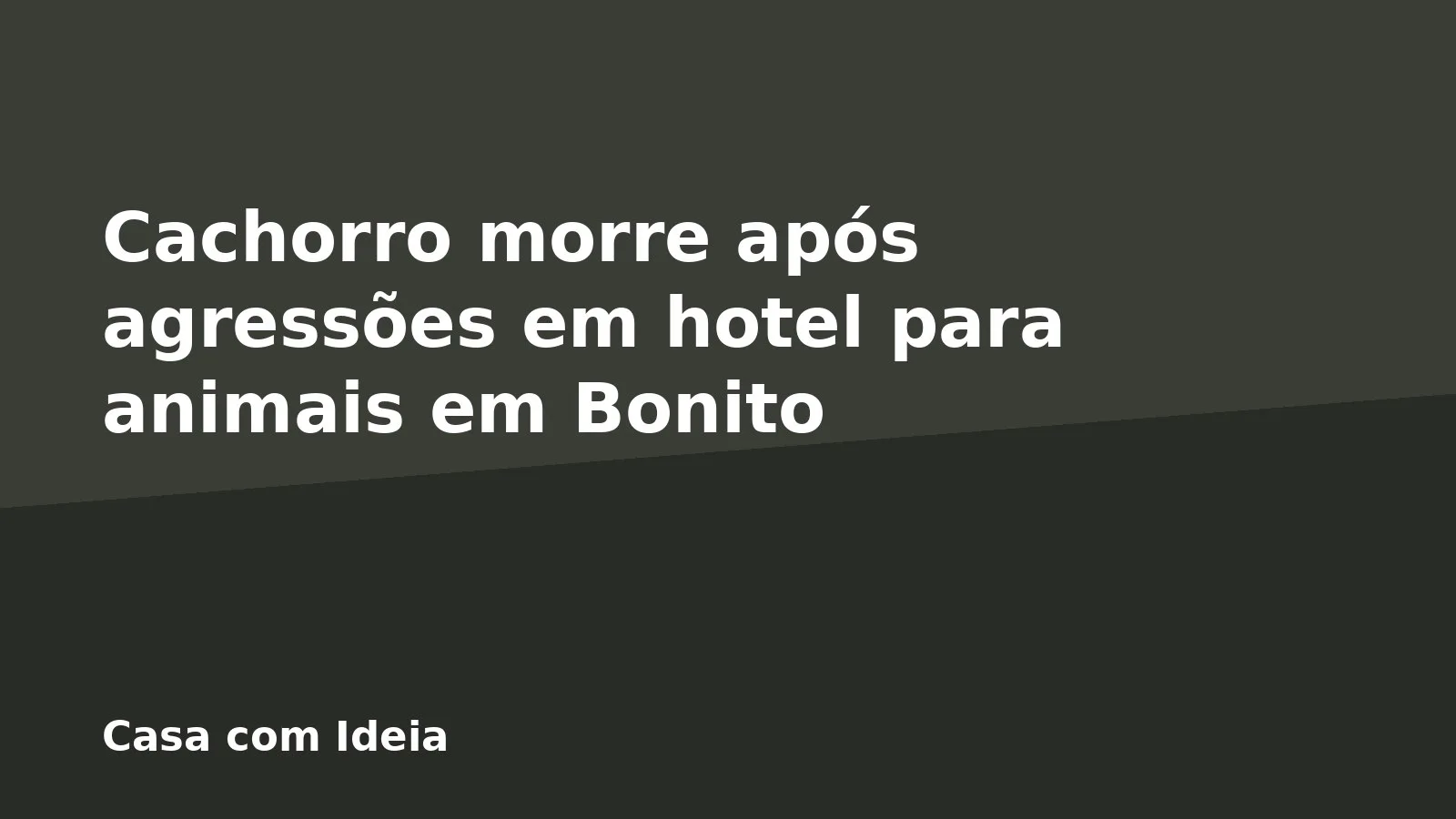 Cachorro morre após agressões em hotel para animais em Bonito