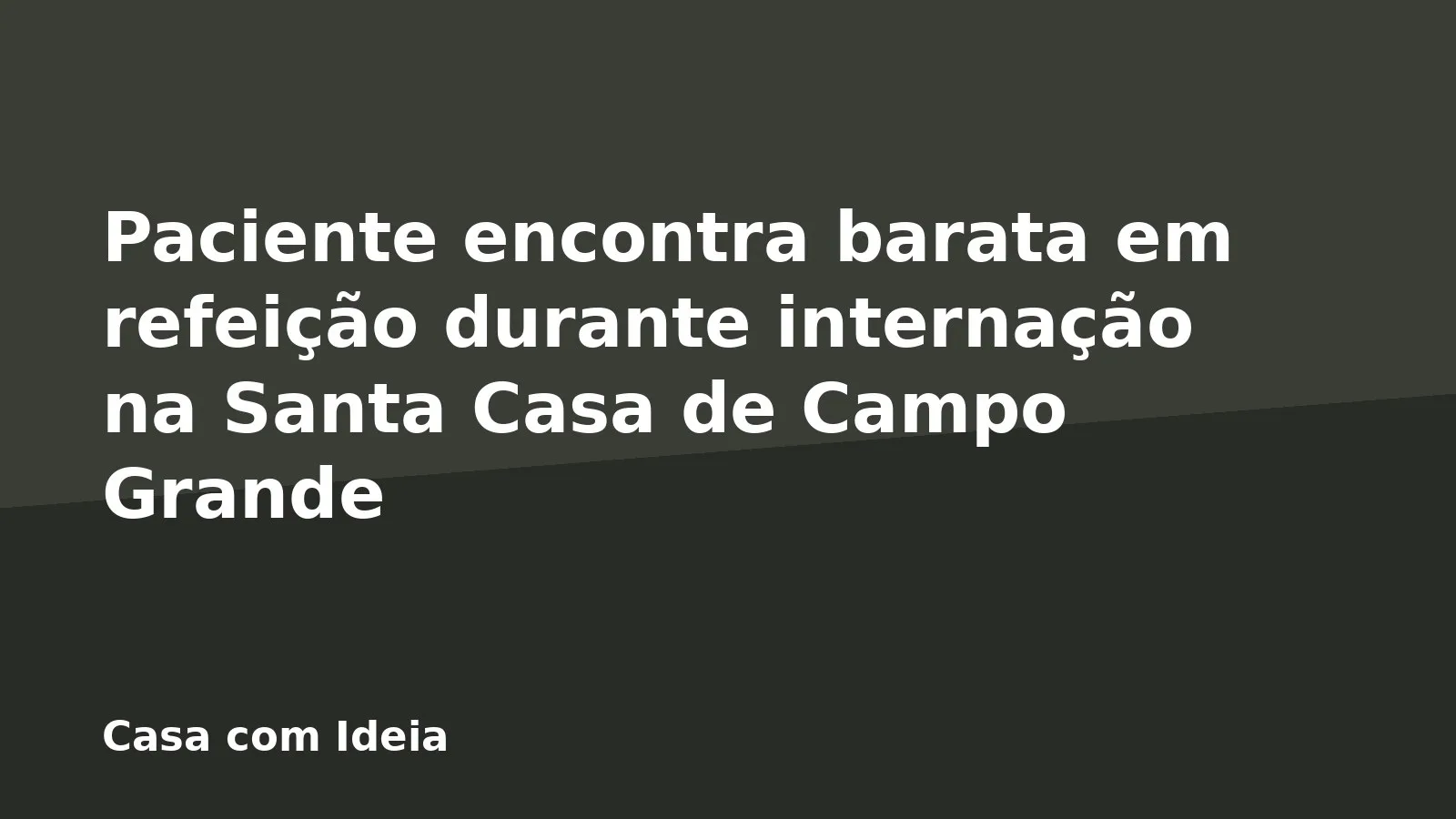 Paciente encontra barata em refeição durante internação na Santa Casa de Campo Grande