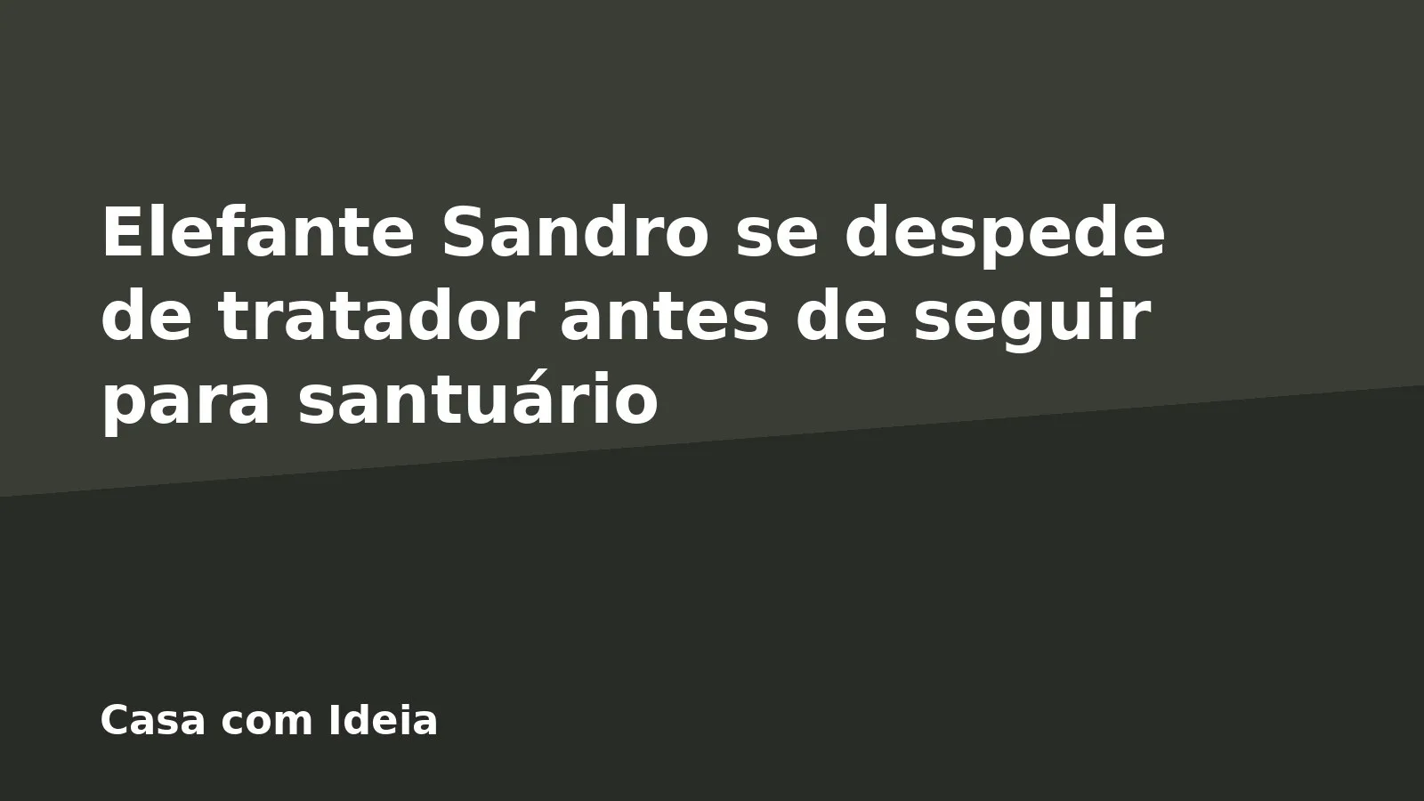 Elefante Sandro se despede de tratador antes de seguir para santuário