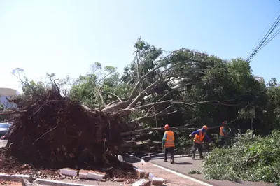 Campo Grande mantém equipes mobilizadas diante de novos alertas de tempestade