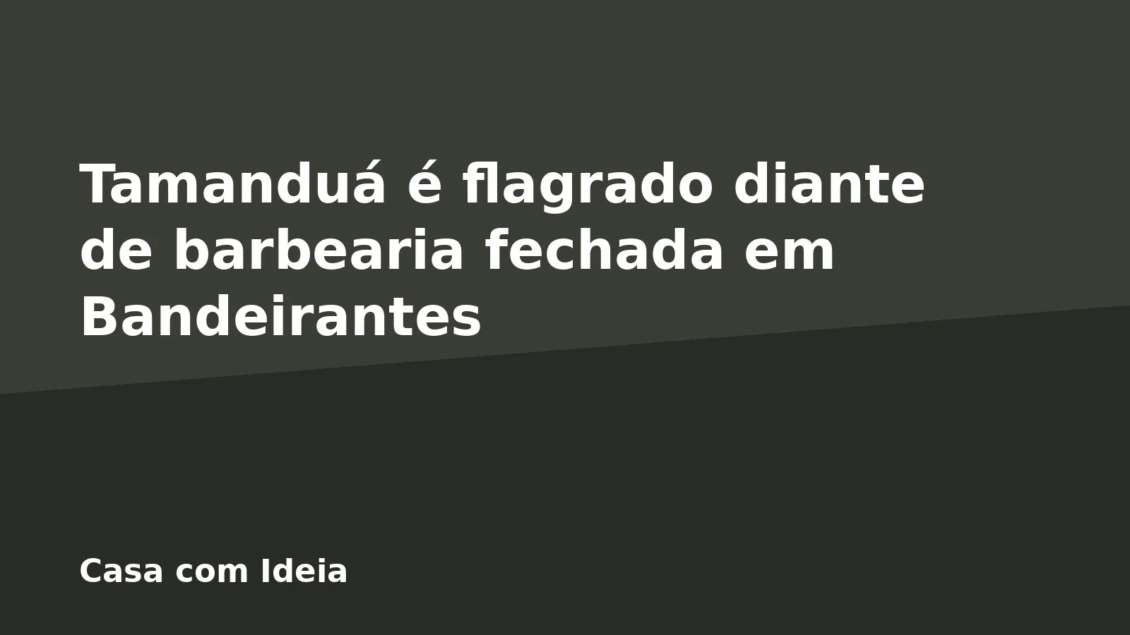 Tamanduá é flagrado diante de barbearia fechada em Bandeirantes