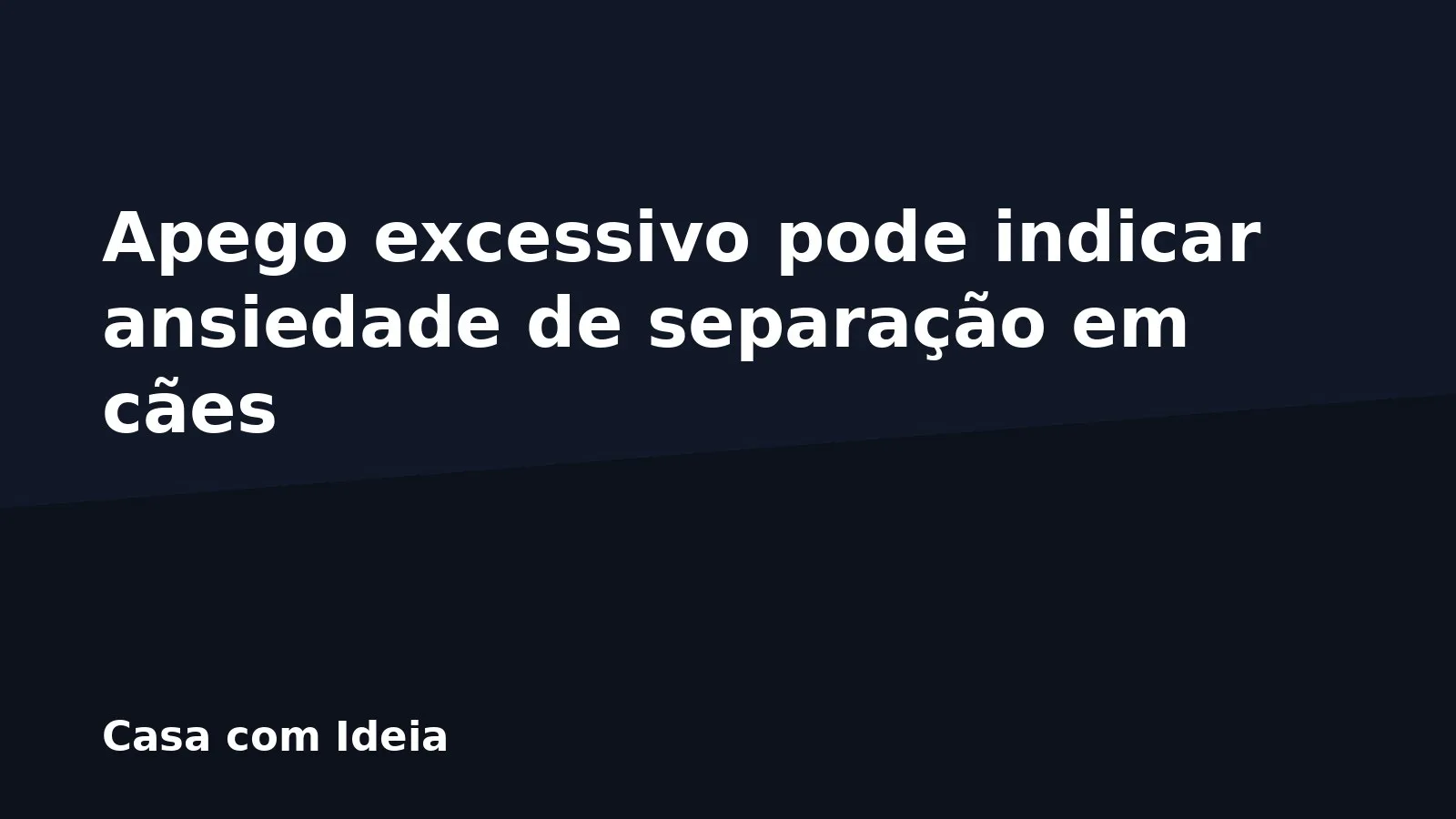 Apego excessivo pode indicar ansiedade de separação em cães