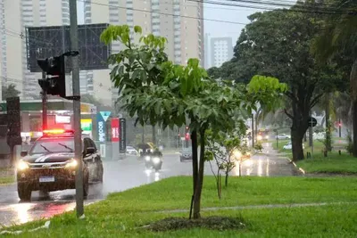 Mato Grosso do Sul terá dois alertas de tempestade no dia da eleição