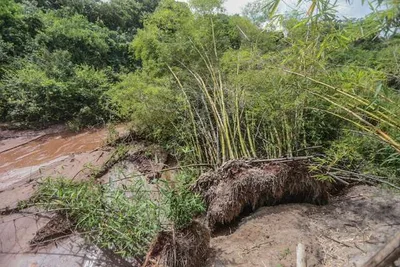 Campo Grande prepara recuperação da Lagoa Itatiaia e de duas nascentes