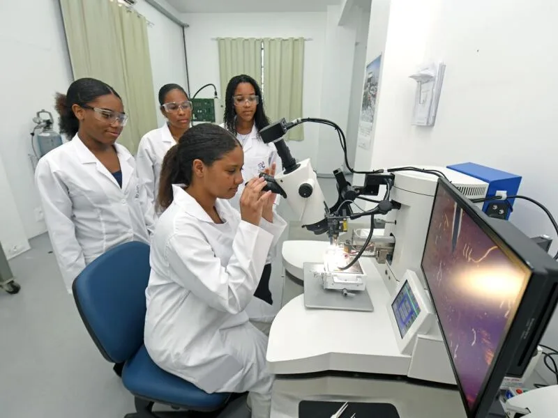 Imersão científica seleciona estudantes e professoras de escolas públicas em todo o país