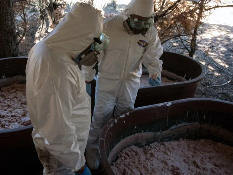 Investigação liga laboratórios africanos a abastecimento de drogas na Austrália