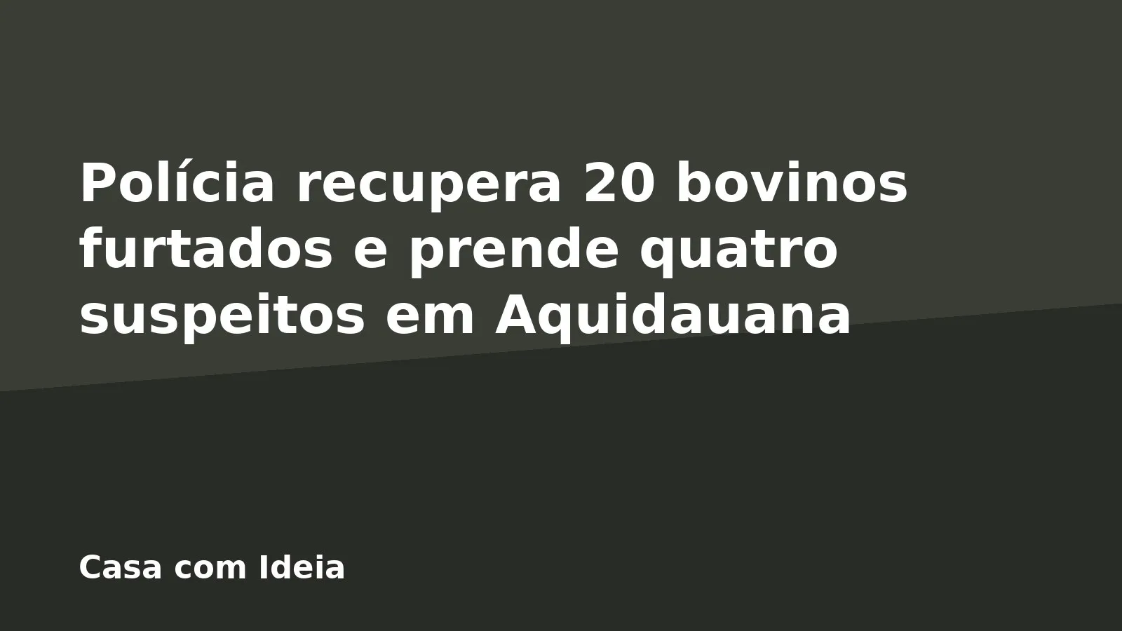 Polícia recupera 20 bovinos furtados e prende quatro suspeitos em Aquidauana