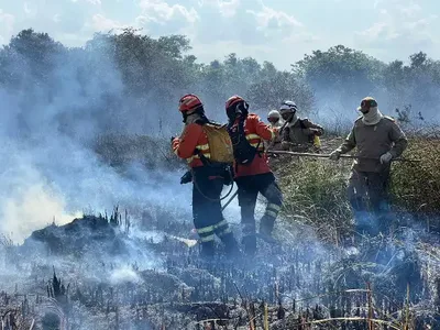 Pantanal registra alta de 179,7% na área queimada em Mato Grosso do Sul