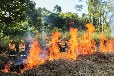 Brasil e Bolívia formam equipes para comandar ações contra incêndios no Pantanal