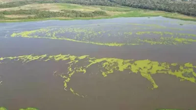 Pantanal Energética interrompe vertimento de plantas no Rio Pardo