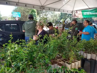 Filas se formam em Campo Grande para distribuição de mudas frutíferas