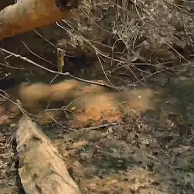 Rio da Prata volta a secar em Jardim, e causas seguem investigadas