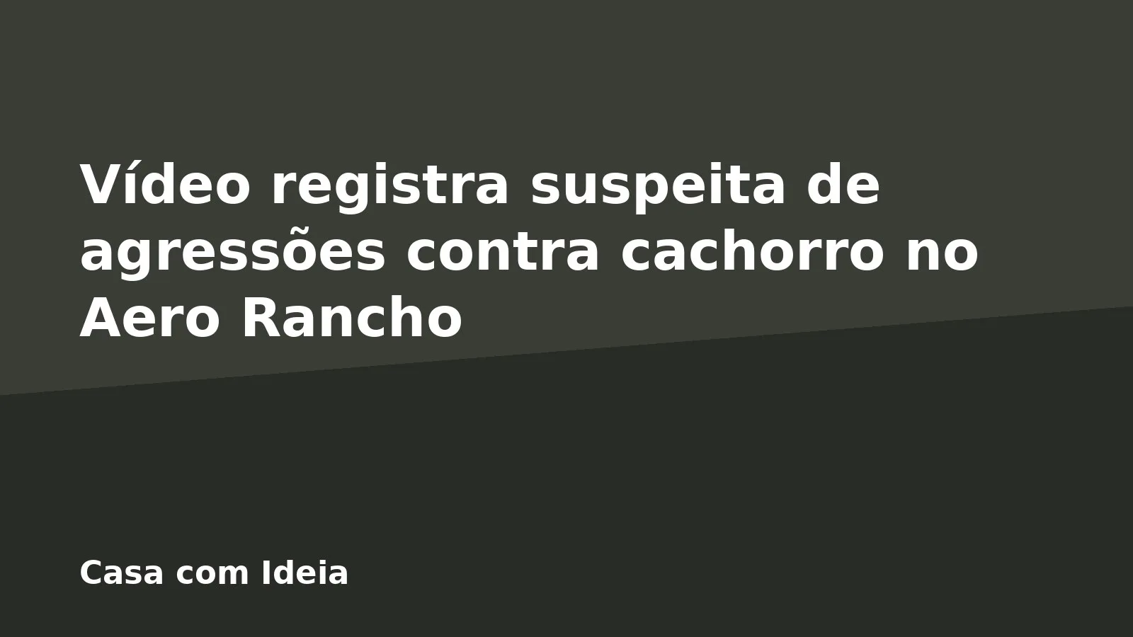 Vídeo registra suspeita de agressões contra cachorro no Aero Rancho