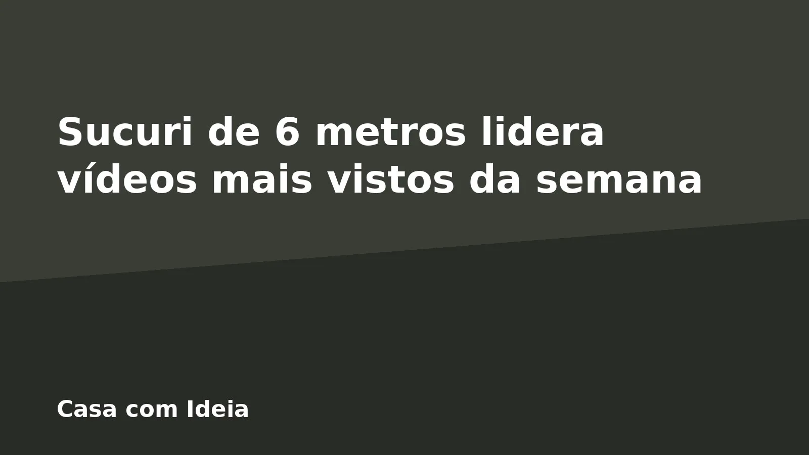 Sucuri de 6 metros lidera vídeos mais vistos da semana