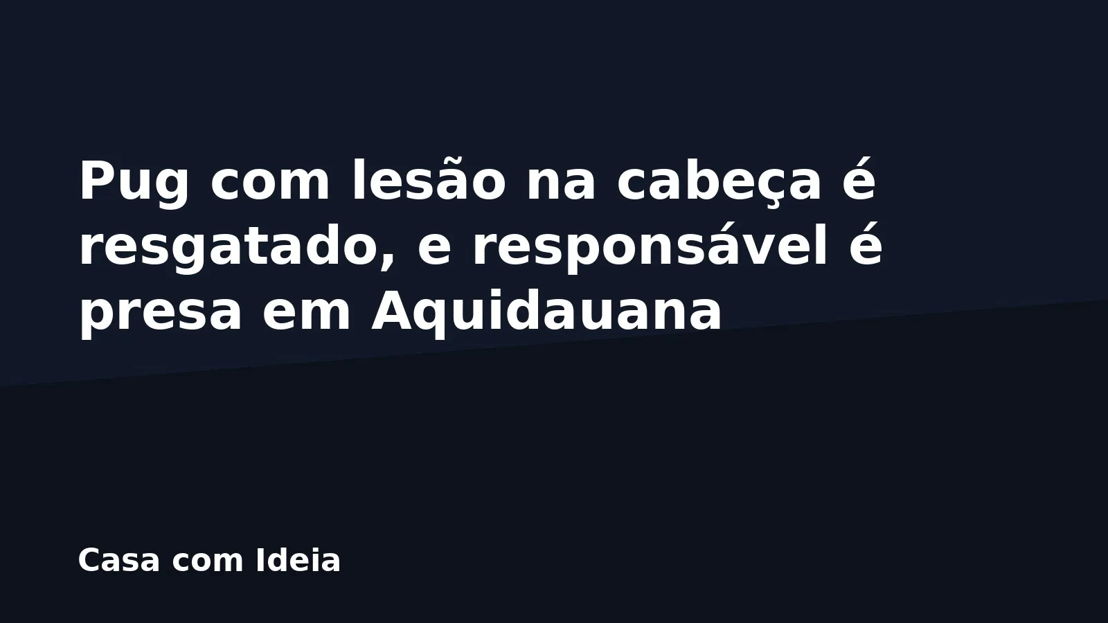 Pug com lesão na cabeça é resgatado, e responsável é presa em Aquidauana