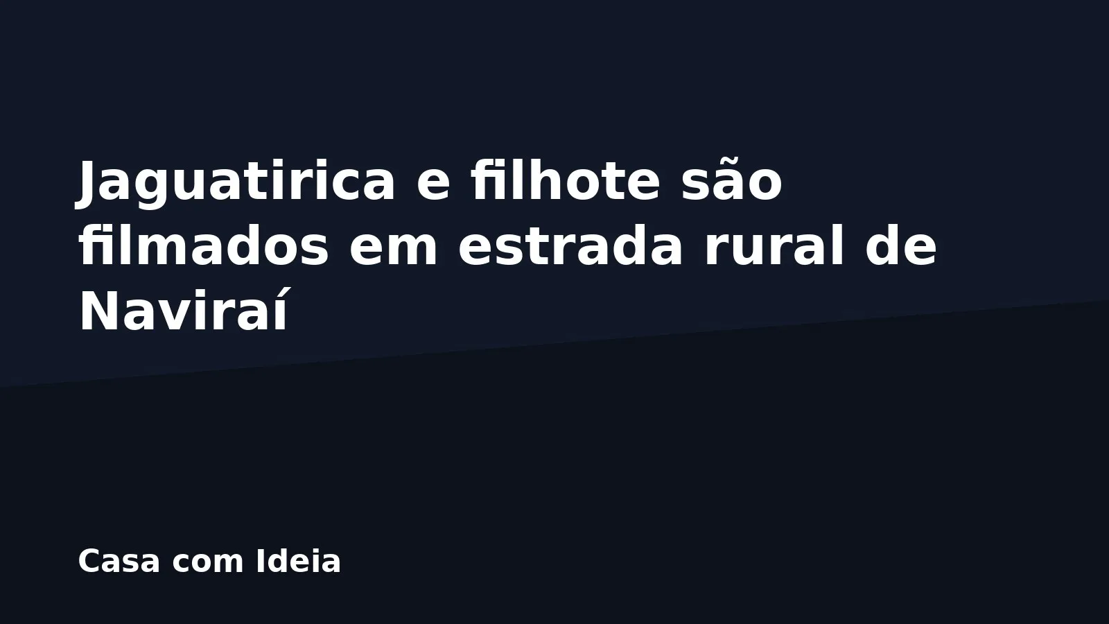 Jaguatirica e filhote são filmados em estrada rural de Naviraí