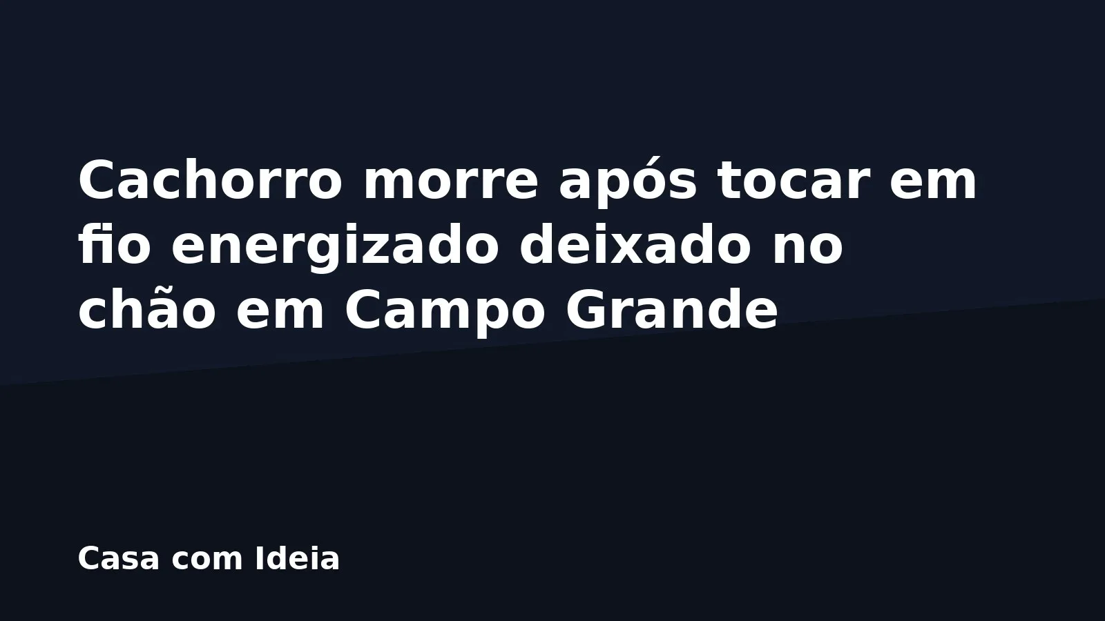 Cachorro morre após tocar em fio energizado deixado no chão em Campo Grande