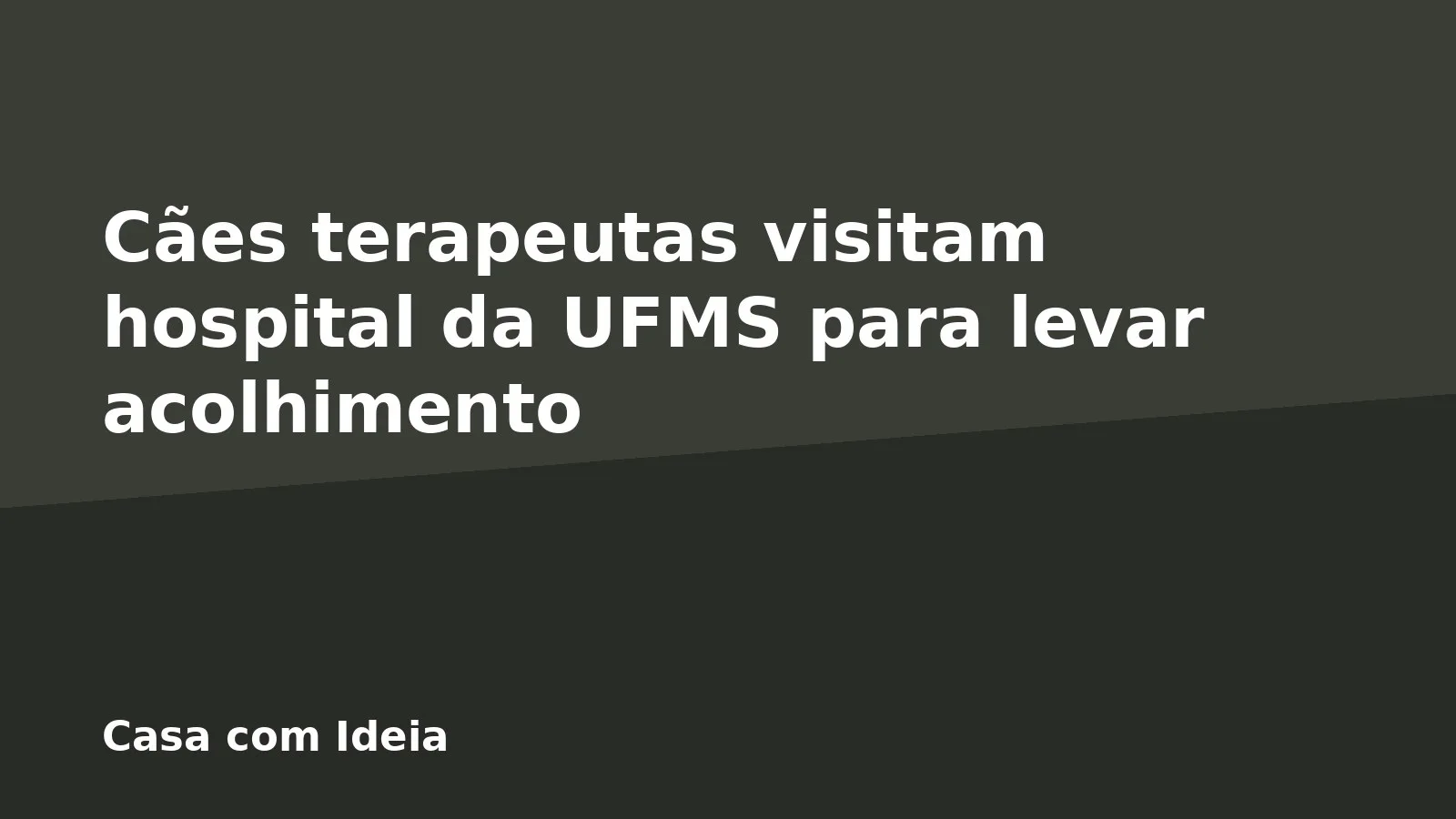 Cães terapeutas visitam hospital da UFMS para levar acolhimento