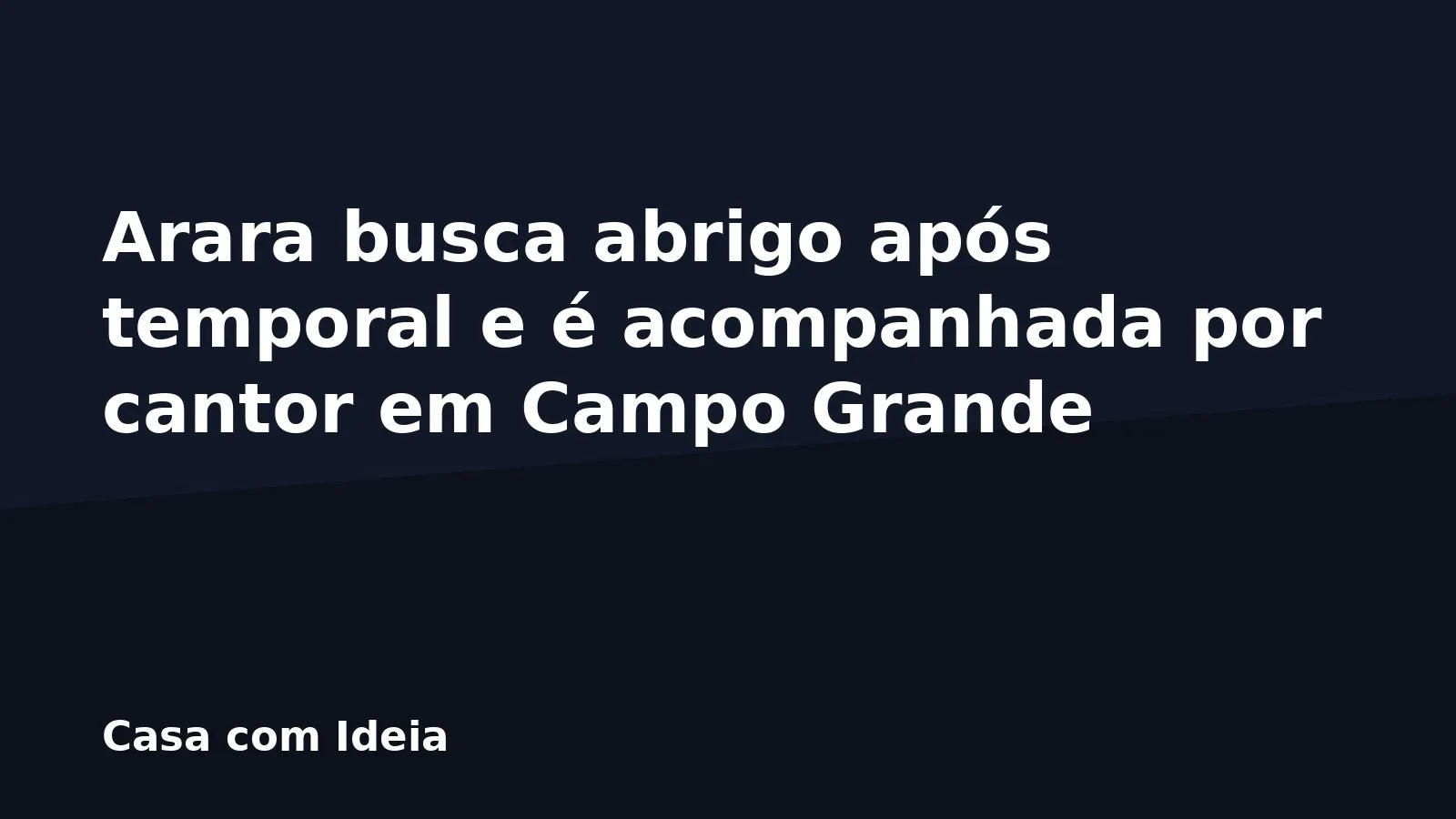 Arara busca abrigo após temporal e é acompanhada por cantor em Campo Grande