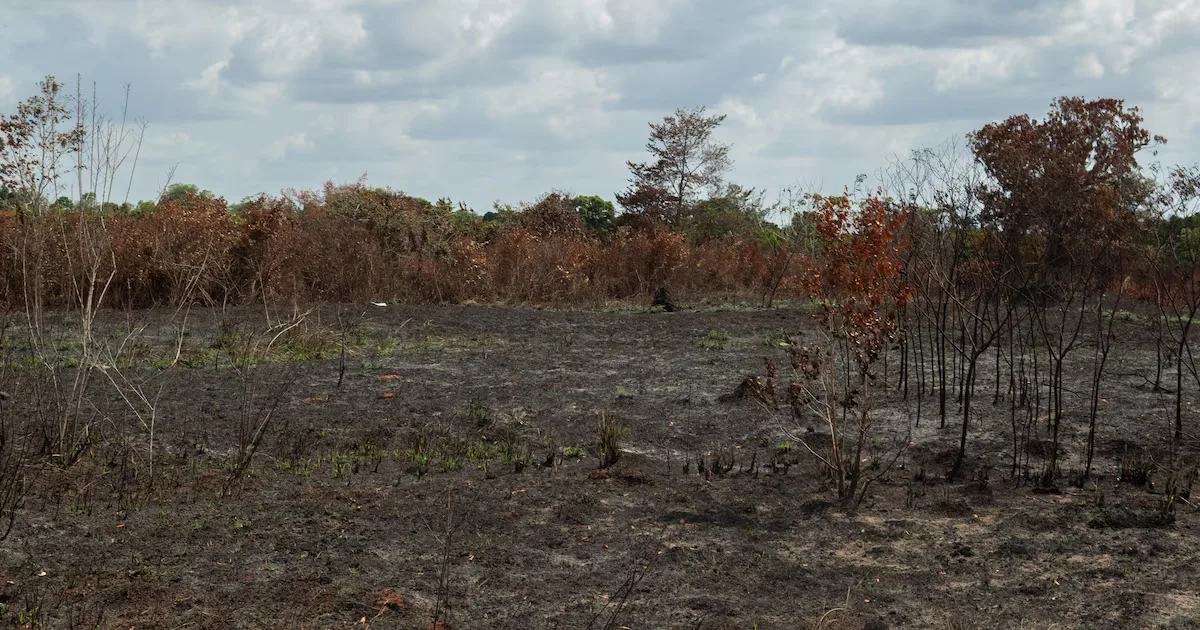 Amazônia pode enfrentar El Niño forte antes de concluir recuperação da seca