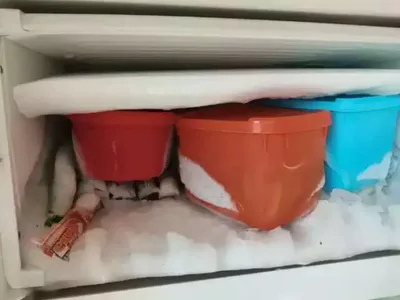 Bairros de Campo Grande seguem sem energia após temporal